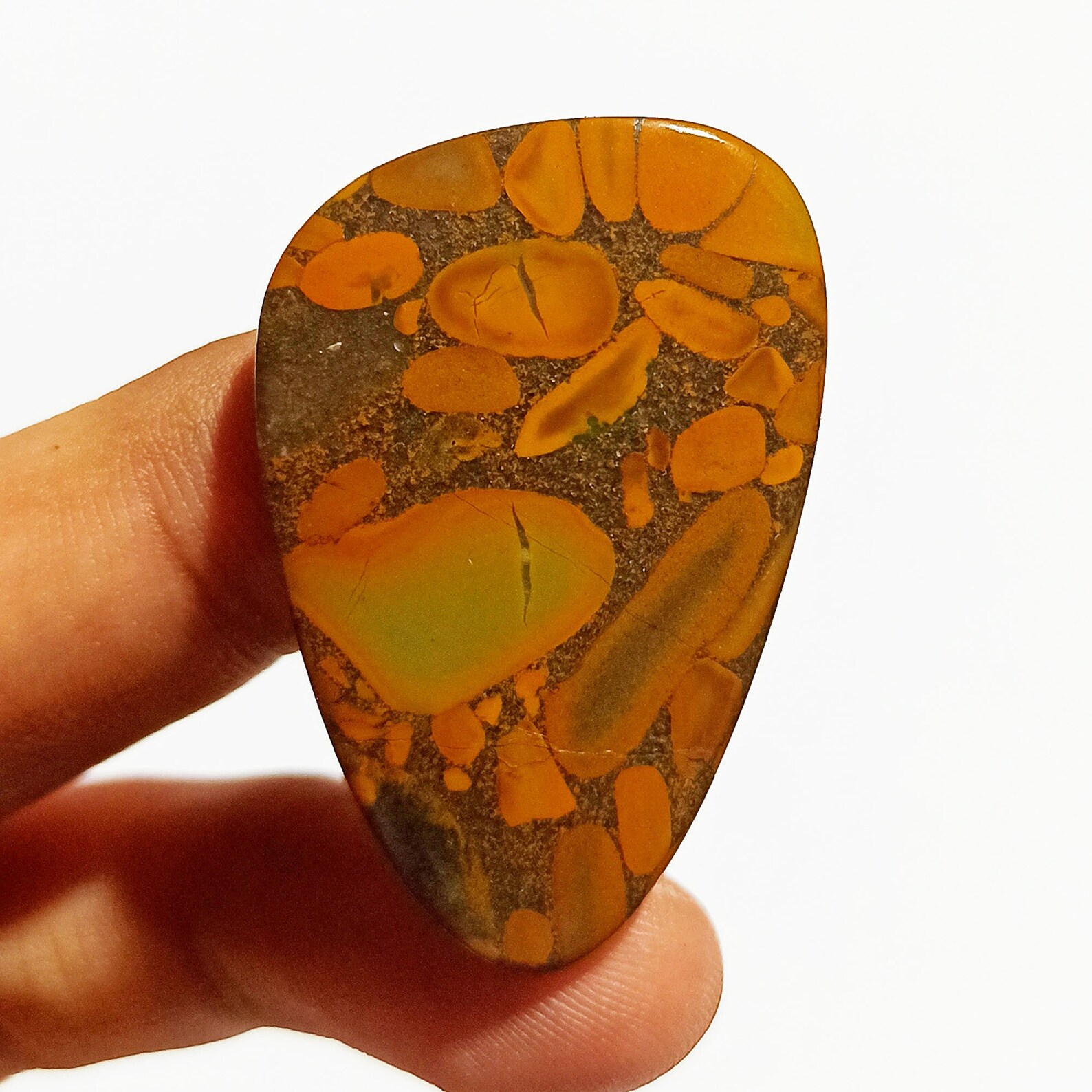 Natural Bamboo Jasper Loose Gemstone 49 Ct Shield Shape Etsy