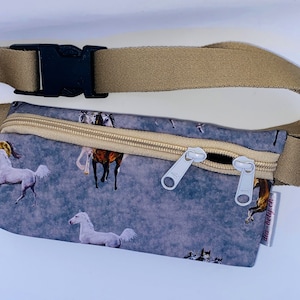 Diabetes fanny pack with / without strap