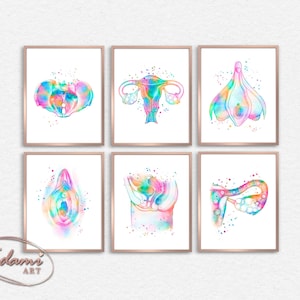 Op de afbeelding: Set van zes aquarel illustraties van het vrouwelijke voortplantingssysteem. Elke illustratie is ingelijst in een gouden lijst en toont een ander deel van de anatomie, waaronder de eierstokken, eileiders, baarmoeder, baarmoederhals en vagina. De illustraties zijn gemaakt in een regenboogkleurenpalet.