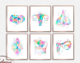 Rainbow Female Anatomy Art, Gynecology OBGYN Poster (Digital Download)