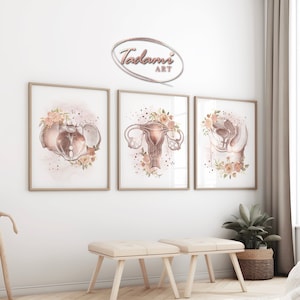 OBGYN Poster, Gynecologist Gift, Gynecology Wall Art, Female Anatomy Poster, Women Health Art, Obstetrics Print, Uterus Art, Pelvic Floor