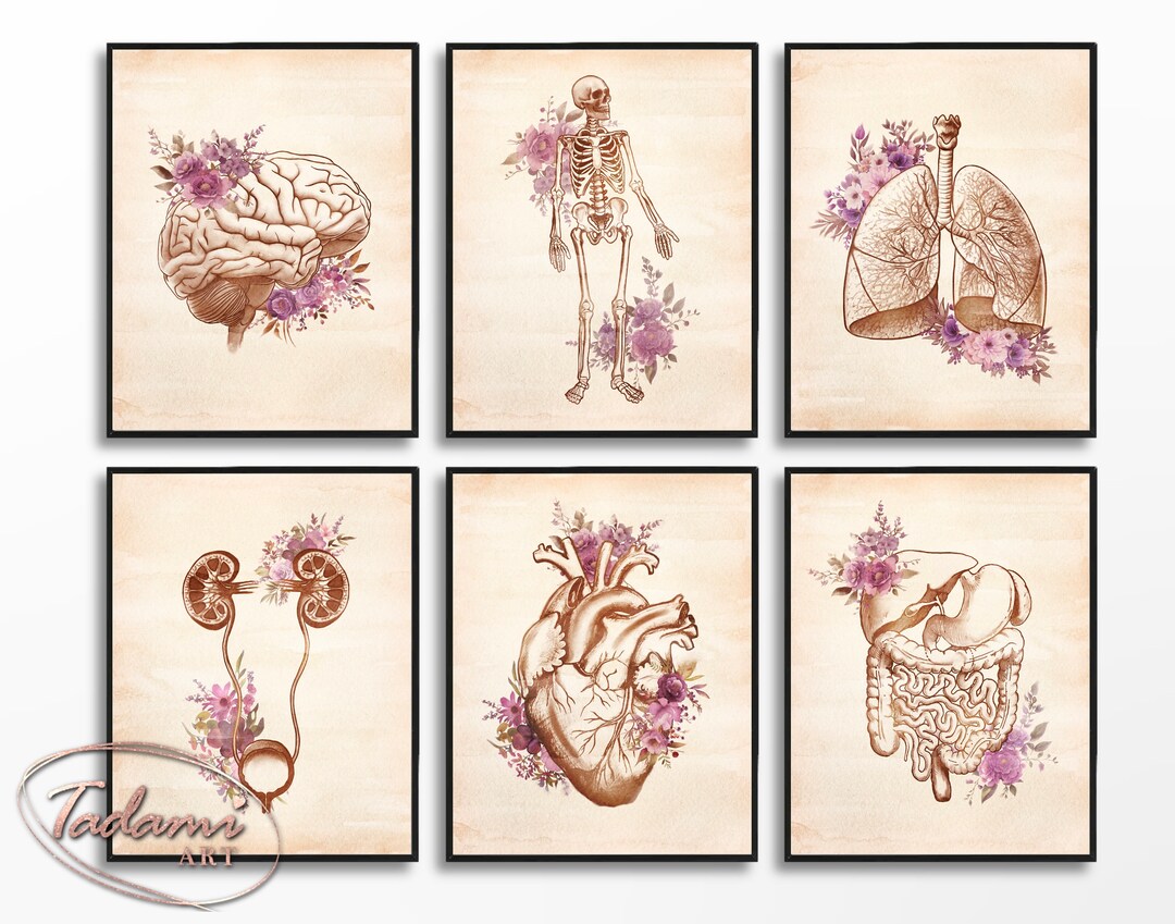 Vintage Medical Posters Set 6 Watercolor Anatomy Art Skeleton - Etsy