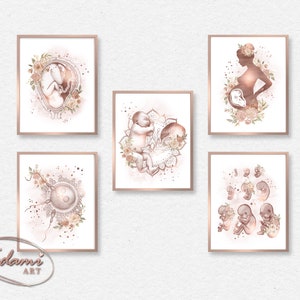 Set of 5 Digital Posters Beige Pregnancy Anatomy Wall Art | Fetus in Womb, Conception Process, Placenta & Embryo Development Prints