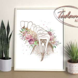 Tooth Artwork Watercolor Dental Poster Anatomy Tooth Floral Art Dentist Gift Dentition Poster Dental Student Wall Art Dentist Room Decor