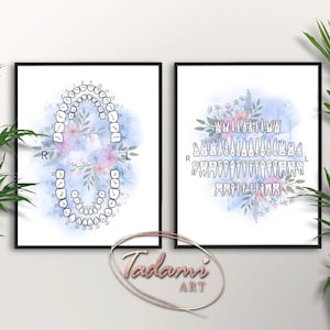 Set 2 Tooth Numbering System Posters Instant Download Dentition Tooth Anatomy Watercolor Art Dentist Gift Dentistry Posters Type Of Teeth