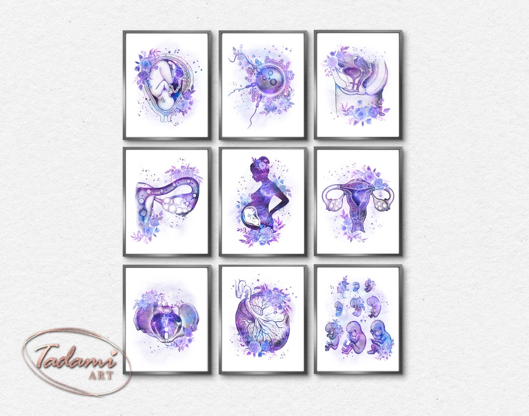 OBGYN Wall Art, Gynecology Poster, Gynecologist Gift, Obstetrics Print ...