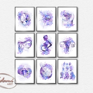 OBGYN Wall Art, Gynecology Poster, Gynecologist Gift, Obstetrics Print, Pregnancy Wall Art, Fertility Art, Female Anatomy Art, Midwife Gift