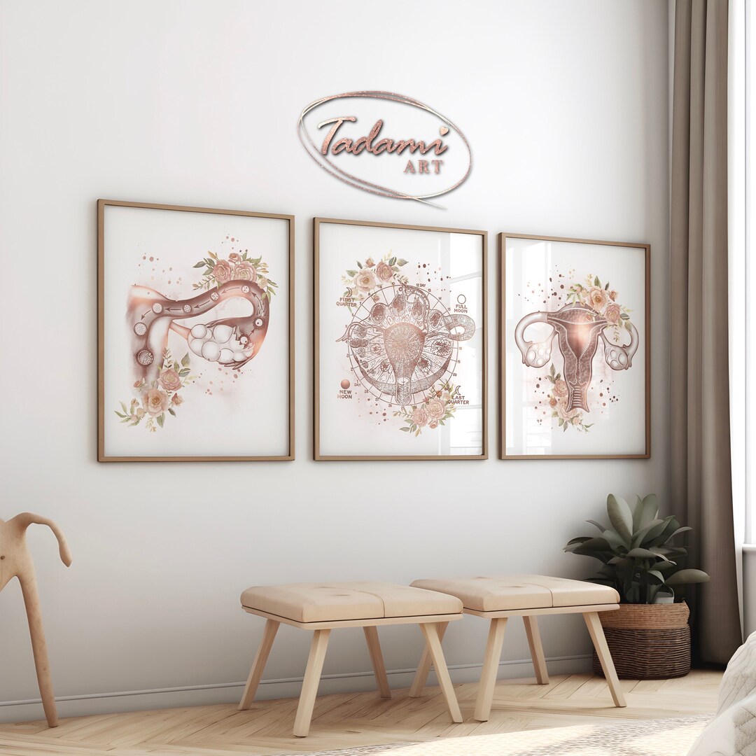 Gynecology Wall Art, Women Anatomy, Gynecologist Gift, Women Period Art ...