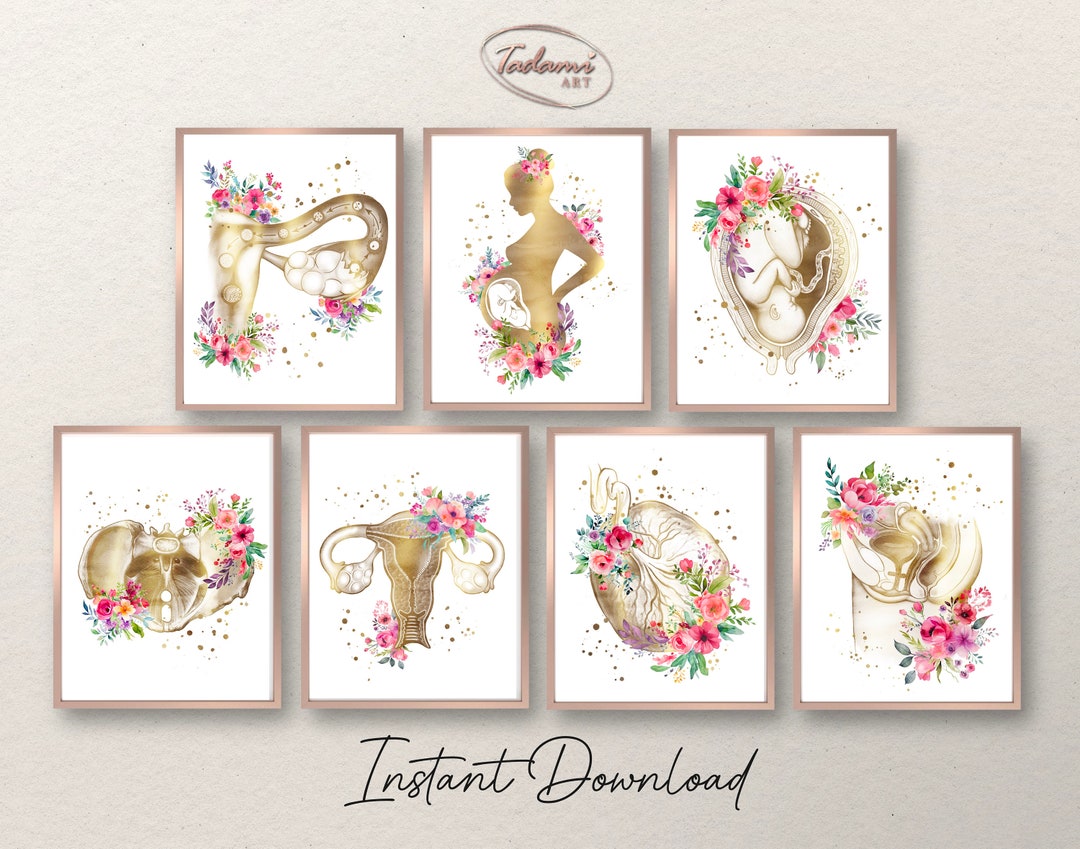 7 Gynecology Poster, OBGYN Wall Art, Fertilization Print, Baby in Womb ...