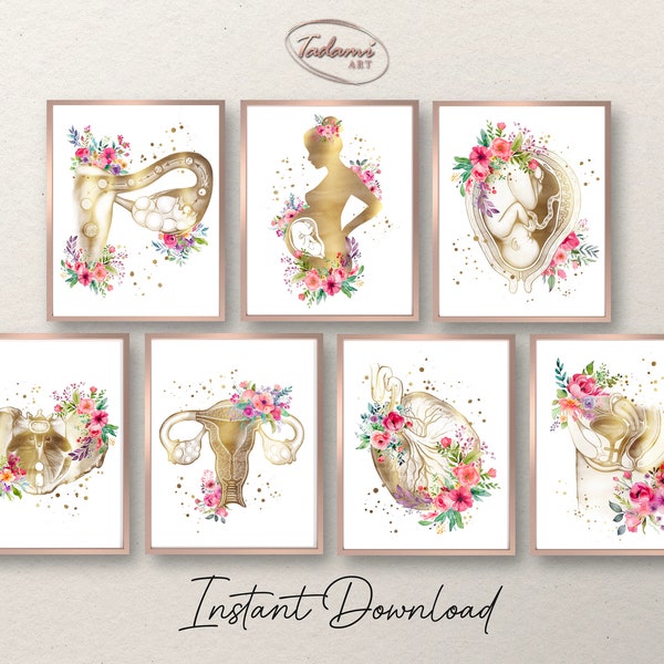 Obgyn Art - Etsy