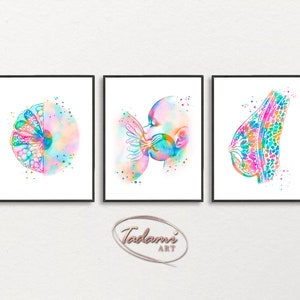 Breastfeeding Poster, Lactation Wall Art, Mammary Gland Art, Breast Anatomy Print, Mammologist  Gift, Lactation Consultant Gift, Breast  Art