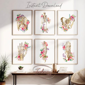 Orthopedic Wall Art, Human Bones Print, Orthopedist Gift, Chiropractic Art, Chiropractor Office Decor, Orthopedist Gift, Anatomy Spine Print