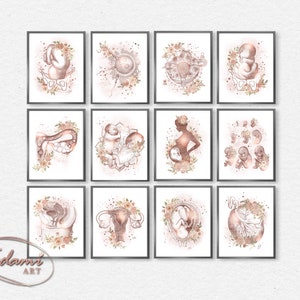 12 Gynecology Wall Art, Obstetrics Print, OBGYN Poster, Fertility Art, Gynecologist Gift, Fetus Wall Art, Doula Gift, Women Anatomy Art