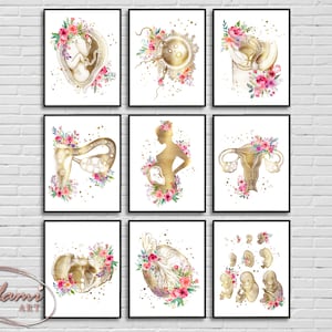 Fertility Poster, Pregnant Anatomy Art, OBGYN Poster, Gynecology Wall Art, Obstetrics Print, Midwife Gift, Gynecologist Gift, Female Health