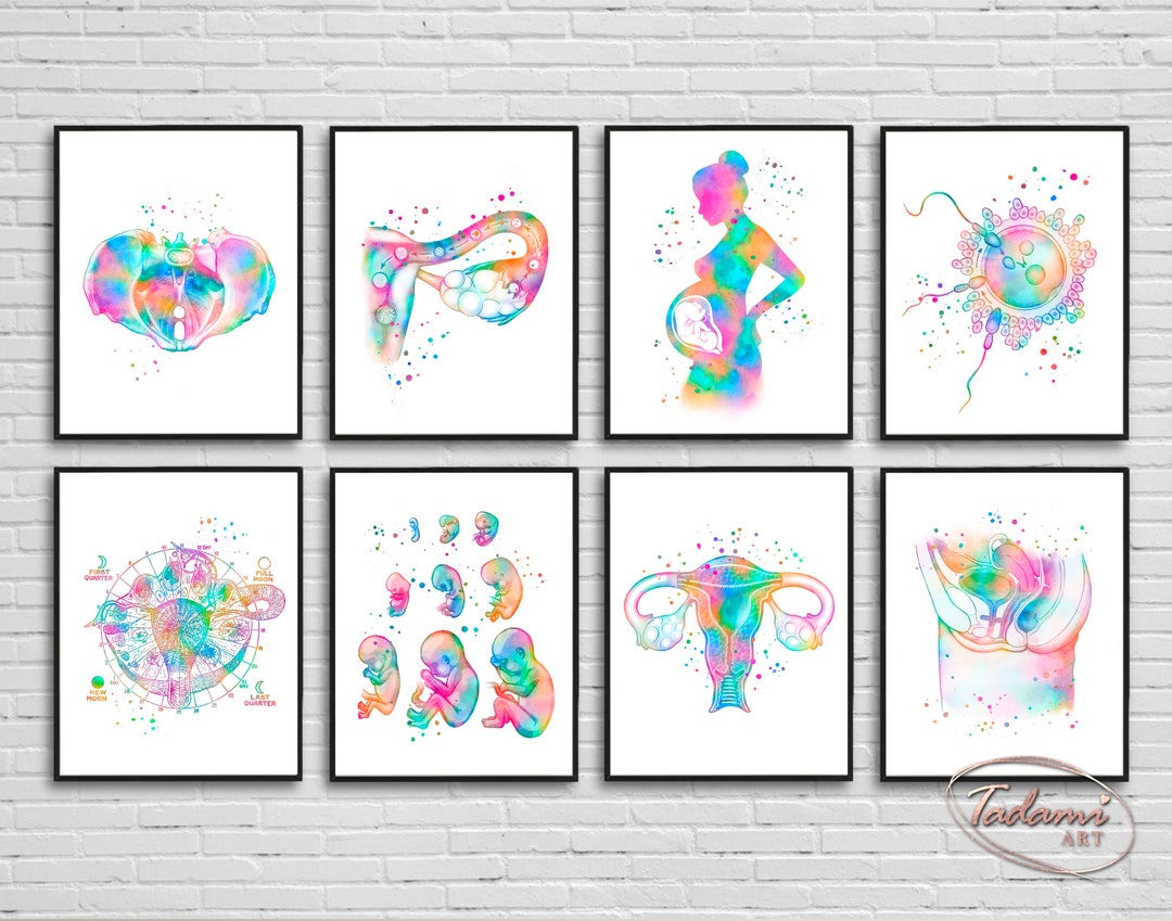 Obgyn Wall Art, Gynecologist Poster, Women Anatomy Print, Pregnancy ...
