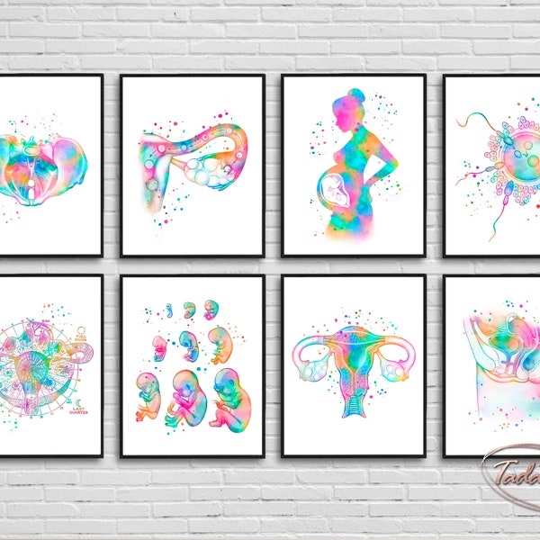 Obgyn Wall Art, Gynecologist Poster, Women Anatomy Print, Pregnancy Wall Art, Rainbow Anatomy Art, Obstetrics Poster, Gynecology Print