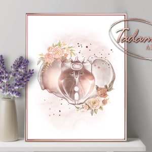 Gynecology Wall Art, Female Anatomy Art, Women Health Poster, OBGYN ...