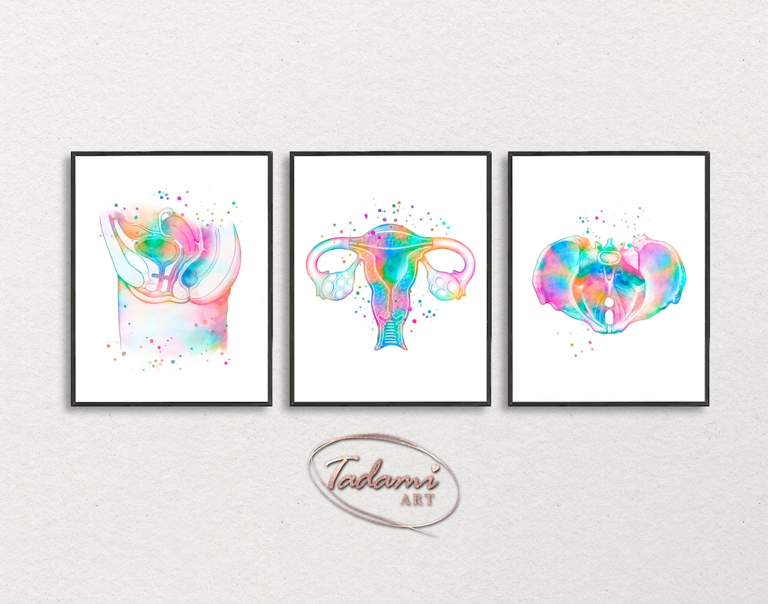 Women Anatomy Art Gynecology Print OBGYN Wall Art Watercolor Medical ...