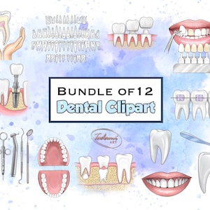 12 Dental Clipart, Dentist Clipart, Dental PNG, Anatomy Tooth Clipart, Tooth PNG, Doctor Clipart, Tooth PNG, Instant Download dental Clipart