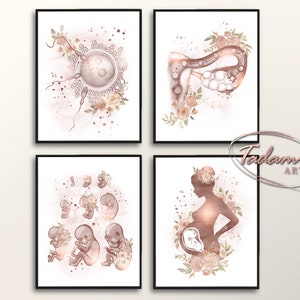 Fertility Wall Art, Pregnancy Poster, Gynecology Print, OBGYN Wall Art, Fetus Stages Poster, Gynecologist Gift, Insemination Poster