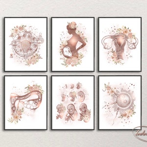 Gynecology  Wall Art , Obstetrics Print, OBGYN Poster, Pregnancy Art, Fertility and Reproductive Print, Female Anatomy Poster, Fetus Print