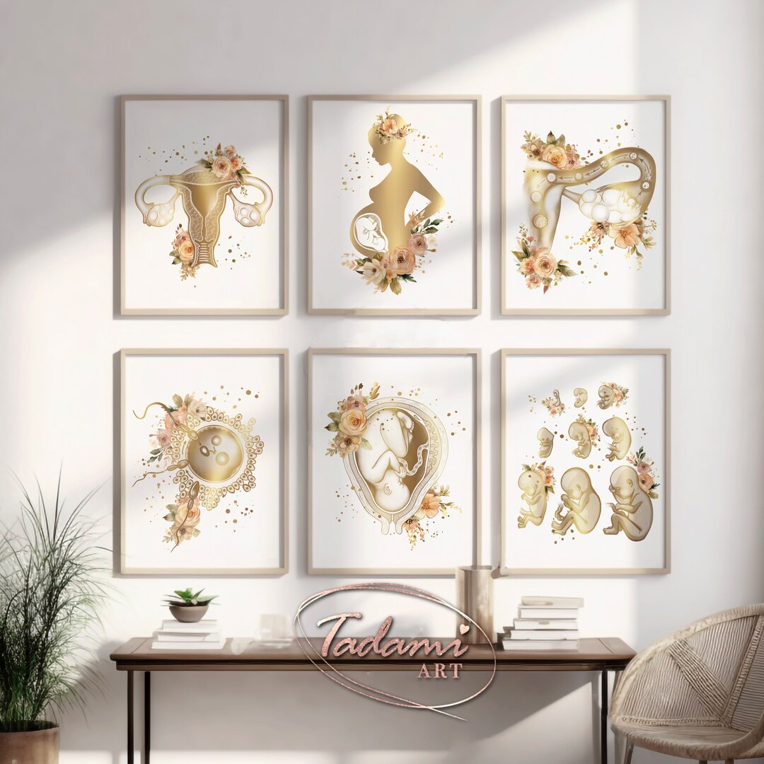 Pregnancy Wall Art, OBGYN Poster, Gynecology Art, Women Anatomy Art ...
