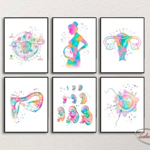 Obstetrics Wall Art Gynecology Poster  Gynecologist Gift OBGYN Print Rainbow Pregnancy Wall Art Fertility Poster Fetus Stages Artwork