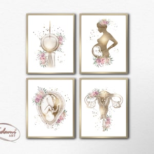 Fertility Wall Art , IVF Poster, Fertility Clinic Decor, Fertilization Print, OBGYN Poster, Infertility Art, Gynecology Print, Baby  in Womb