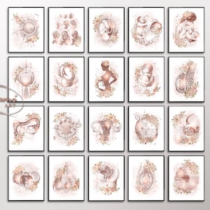 Gynecology Wall Art, Female Anatomy Art, Women Health Poster, OBGYN Print, Pregnancy Wall Art, Obstetrics Poster, Gynecologist Gift