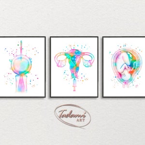 Fertility Wall Art, IVF Print, Pregnancy Poster, Embryo Poster, Baby in Womb Print, Rainbow Anatomy Art, Gynecology Poster, Medical Wall Art