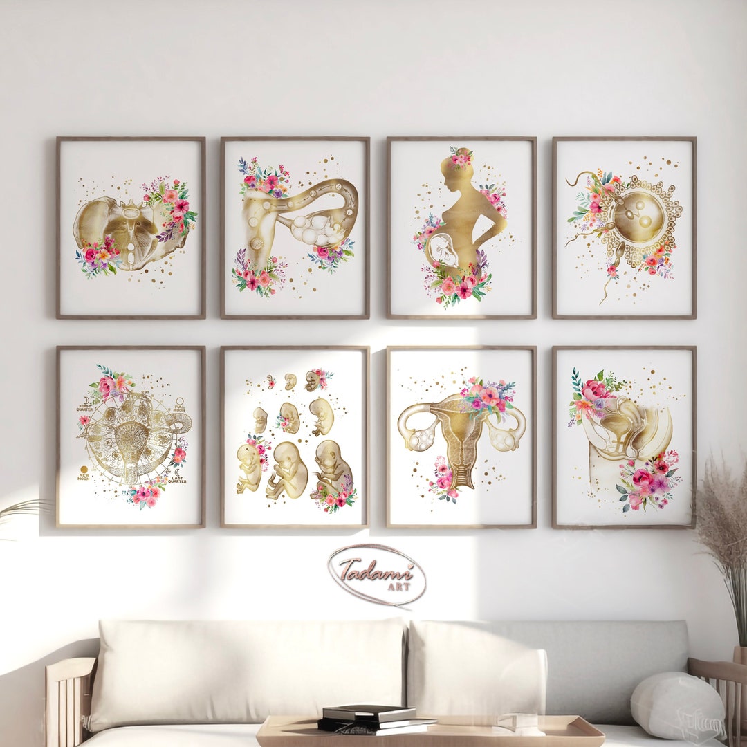 Gynecology Wall Art, OBGYN Poster, Fertility Print, Female Anatomy Art ...