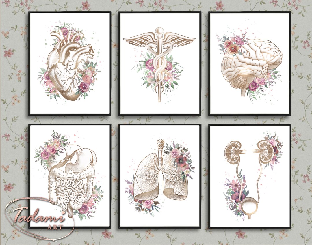 Medical Wall Art, Clinic Decor, Physician Gift, Therapist Poster