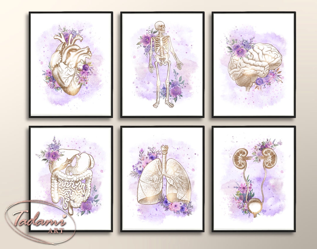 Medical Posters Set 6 Watercolor Anatomy Floral Art Doctor Gift ...