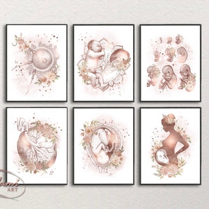 Pregnancy Wall Art, Gynecology Print, Lotus Birth Art, Doula Gift, OBGYN Poster, Midwife Gift, Obstetrics Print, Gynecologist Gift