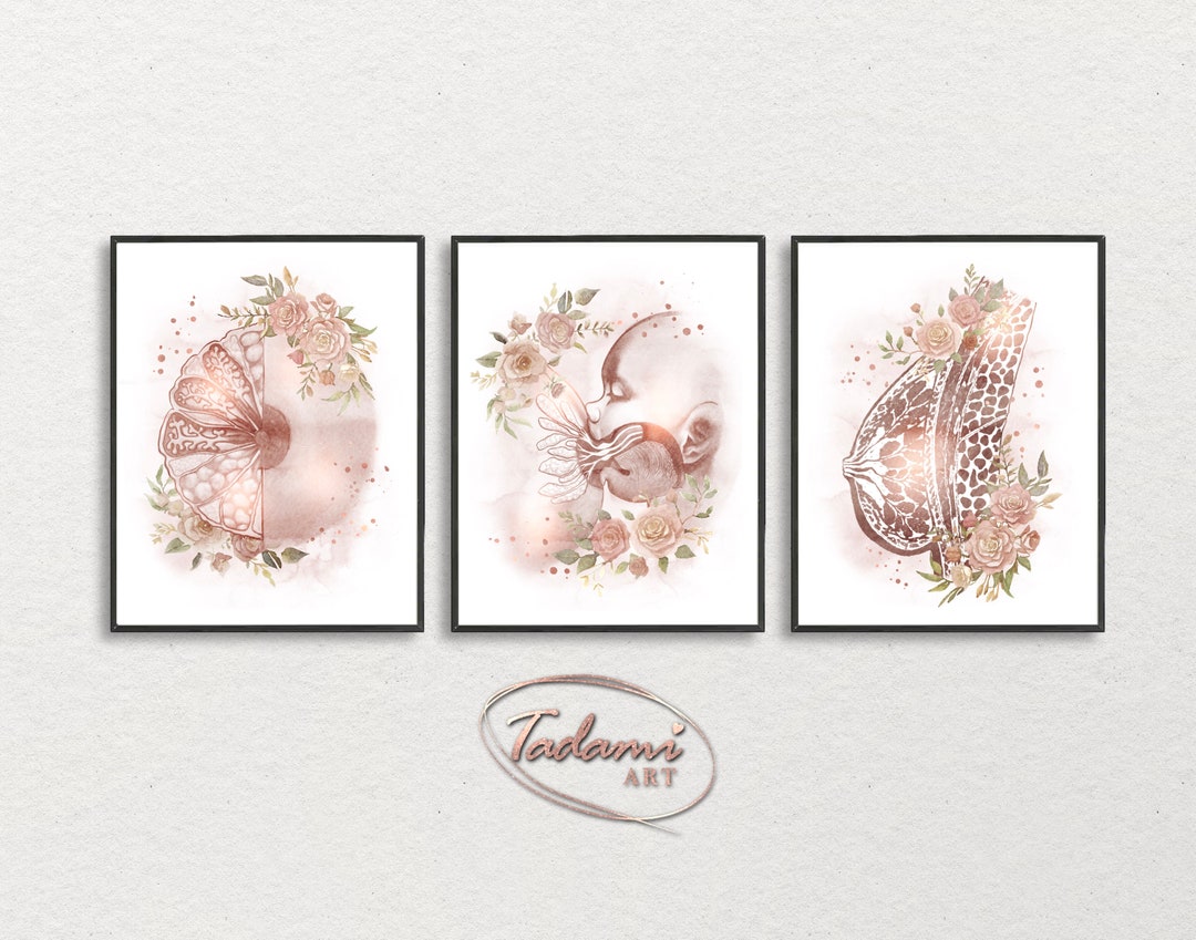 Breastfeeding Print, Mammary Anatomy, Mammary Gland Print, Mastology ...