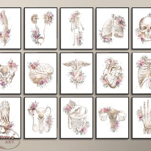 15 Anatomy Poster, Medical Artwork Watercolor, Doctor Gift, Human Anatomy Art, Clinic Decor, Floral Anatomy Art, Brain Poster, Skeleton Art