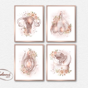 Vulva Wall Art, Female Anatomy Poster, Gynecologist Gift, Clitoris Floral Art, Uterus and Ovaries, OBGYN Poster, Women Anatomy Print