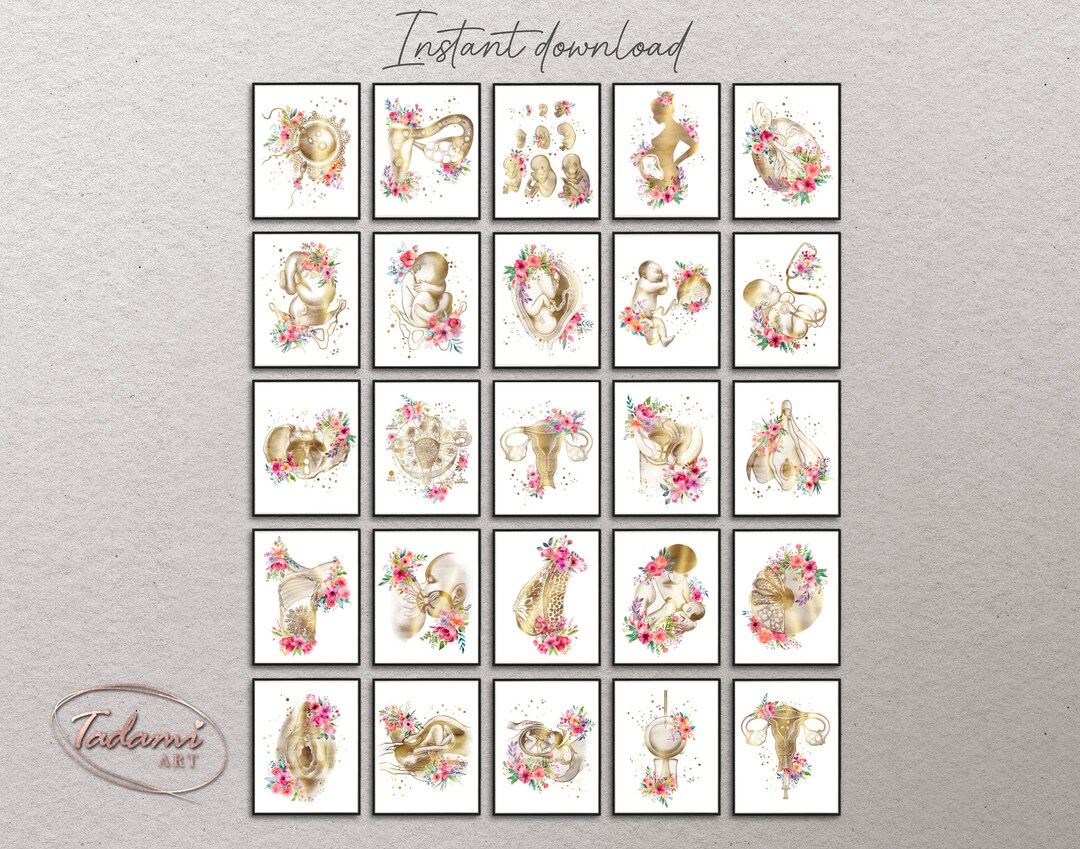 25 Gynecology Art, OBGYN Poster, Midwife Gift, Fertility Art, Pregnant ...