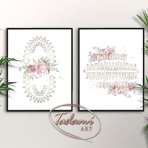Dental Artwork Watercolor Tooth Numbering Poster Dentist Gift Dentition Floral Art Dentist Room Decor Tooth Anatomy Artwork Dental Clinic