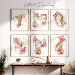 Women Anatomy Art, Gynecology Poster, OBGYN Wall Art, Gynecologist Gift, Breast Anatomy, Women Health Art, Midwife Gift, Fertility Art