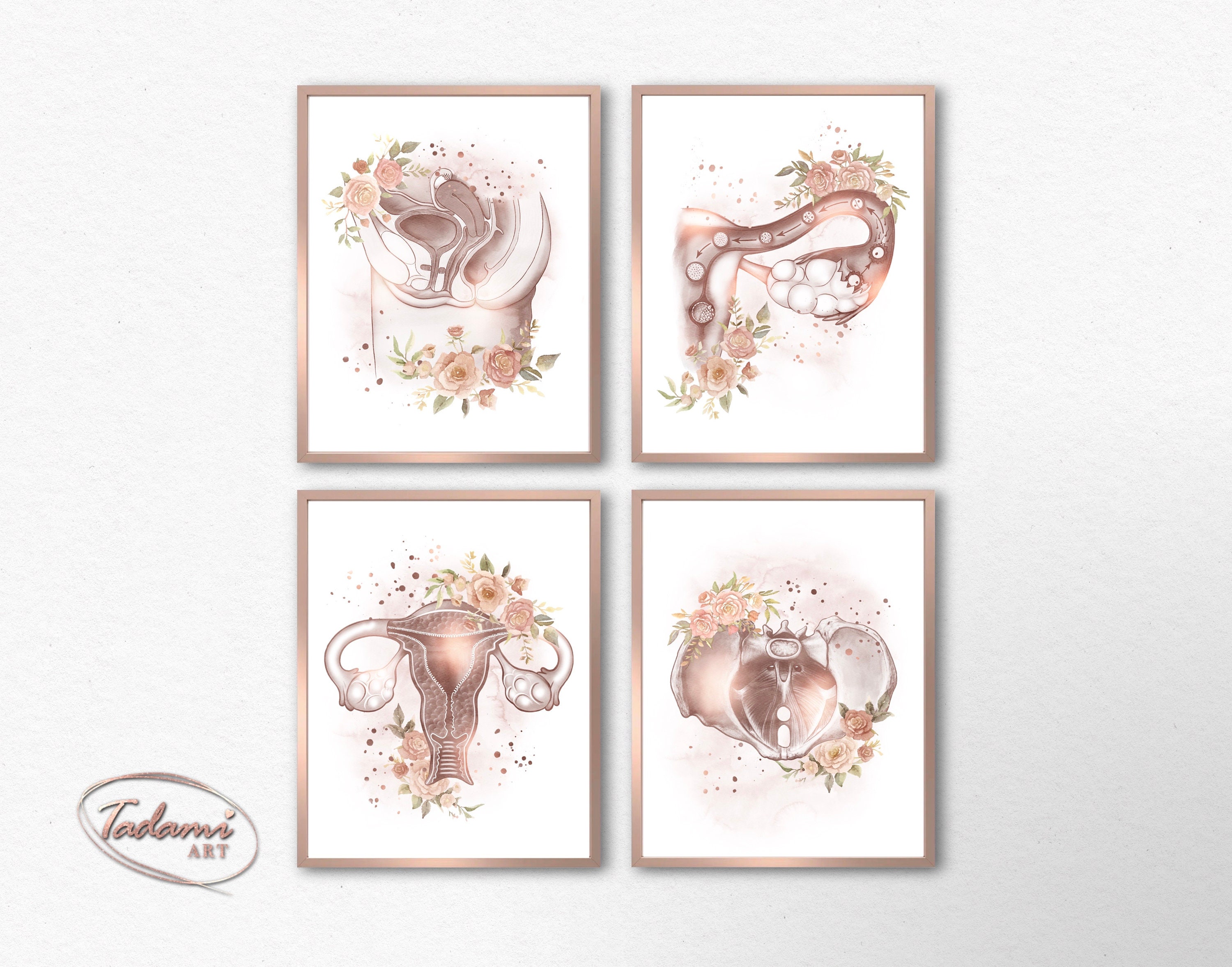 Female Anatomy Watercolor Print, Floral OBGYN Art (digital Download) - Etsy