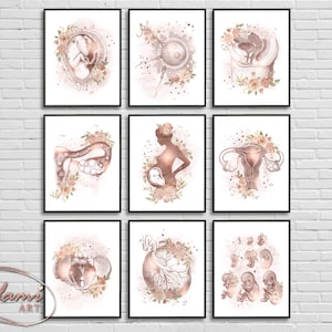 Pregnancy Wall Art, Gynecology Poster, Female Anatomy Print, Fetus in Womb, Obstetrics Wall Art, Pregnant Women Art, OBGYN poster