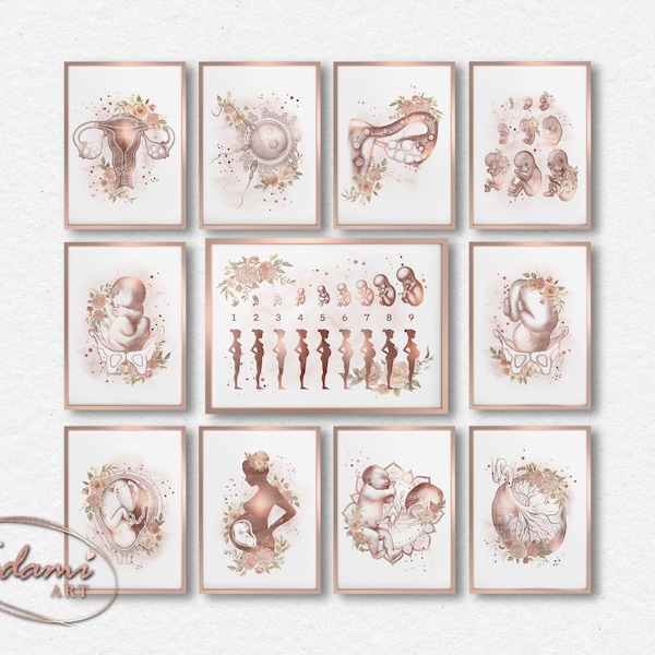 Gynecology Wall Art, Pregnancy Poster, Pregnancy Stages, Gynecology Poster, Gynecologist Gift, Pregnant Anatomy, OBGYN Art, Doula Gift