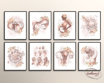 Gynecology Wall Art, Female Anatomy Print, Fertility Poster, Gynecologist Gift, OBGYN Wall Decor, Obstetrics Print, Pregnancy Wall Art