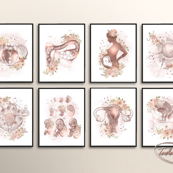 Gynecology Wall Art, Female Anatomy Print, Fertility Poster, Gynecologist Gift, OBGYN Wall Decor, Obstetrics Print, Pregnancy Wall Art