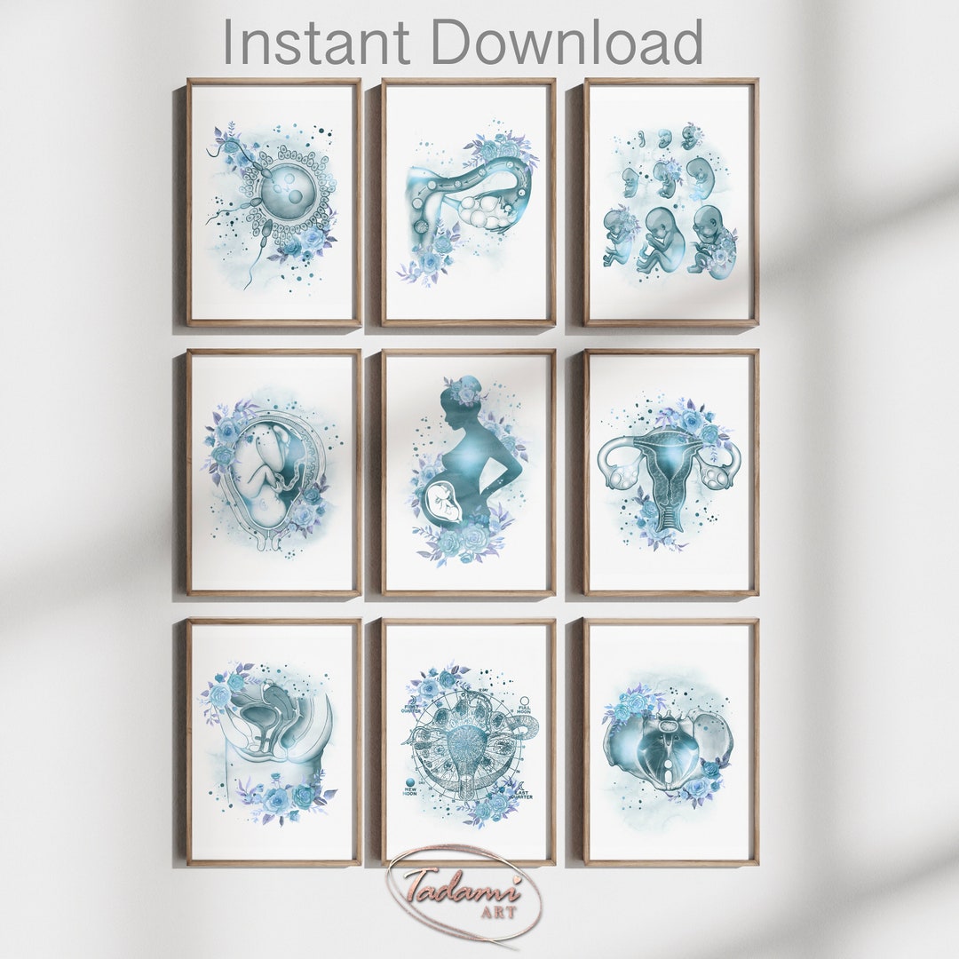 Gynecology Poster, Teal OBGYN Art, Fertility Poster, Female Anatomy Art ...