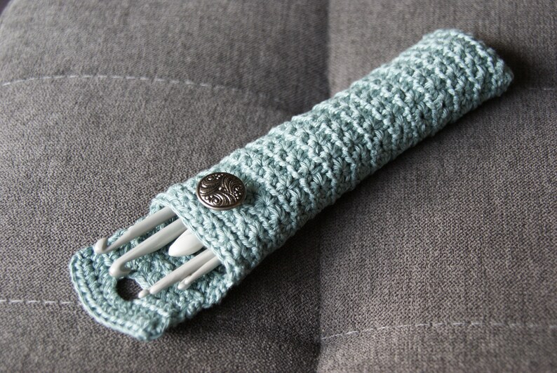 May include: A light blue crocheted case with a silver button closure, holding a set of white crochet hooks.