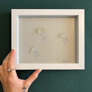 Quallen Quallen Trio Meerestiere Seeglasbild Meerglasbild Strandglas Insel Rügen