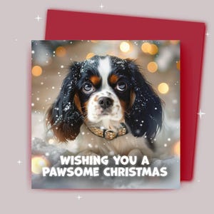 Kerstkaart / Ik wens je een fijne kerst / King Charles Spaniel in a Christmas Snow Scene
