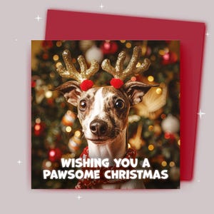 Kerstkaart / Ik wens je een fijne kerst / Whippet met kerstgewei